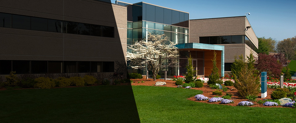 Winter Haven Landscapers