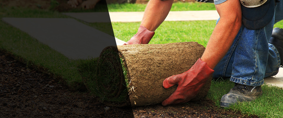 Winter Haven Landscapers